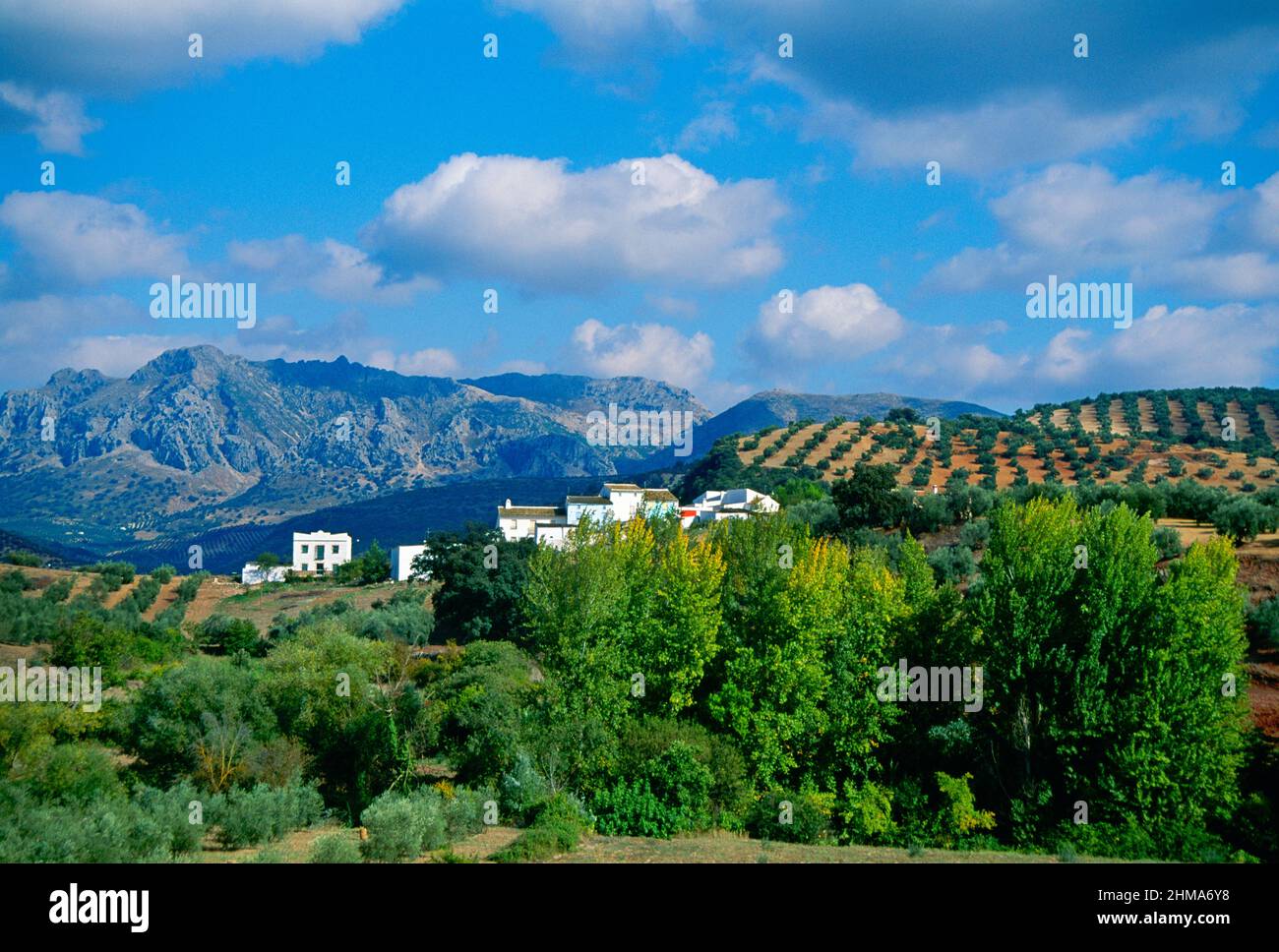 Europa, Spagna, Andalusia, paesaggio rurale, con villaggio, Foto Stock