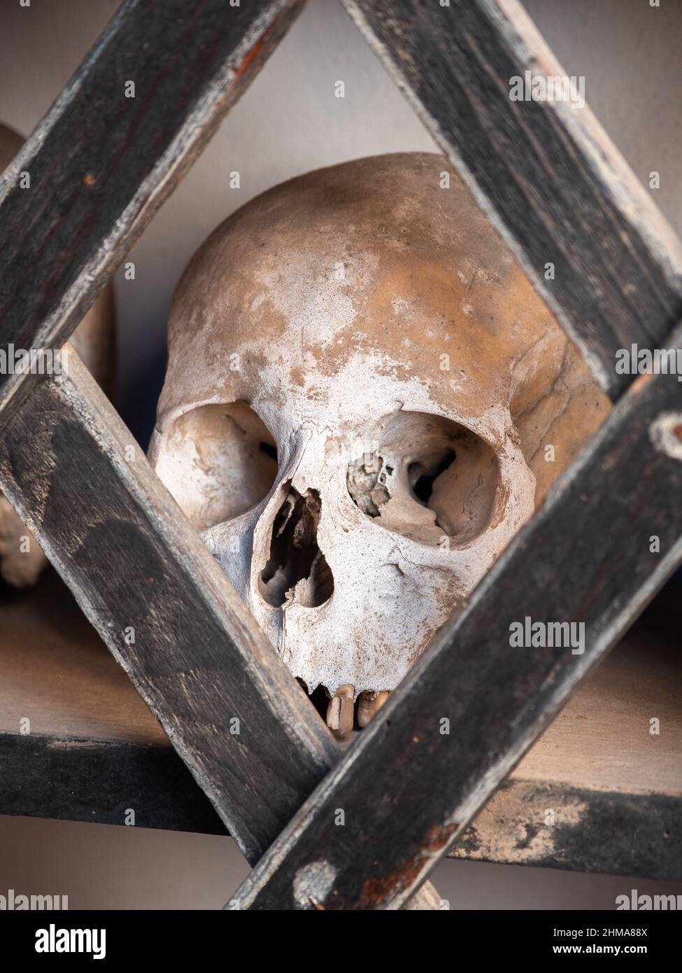 Cranio umano nell'ossario presso la chiesa di San Vittore Mauro a Poschiavo che esiste dal 1903. Foto Stock
