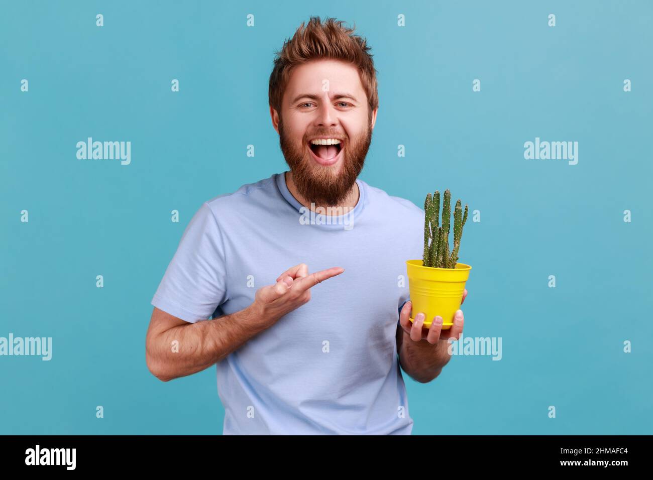 Ritratto di ottimista positivo barbato uomo in T-shirt tenendo giallo fiore pentola e puntando il dito contro il cactus, guardando la macchina fotografica con il sorriso toothy. Studio interno girato isolato su sfondo blu. Foto Stock