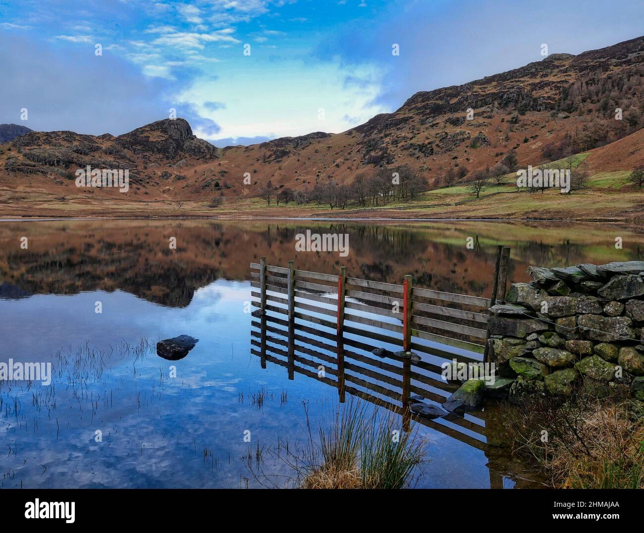 Blea Tarn Lake District Foto Stock
