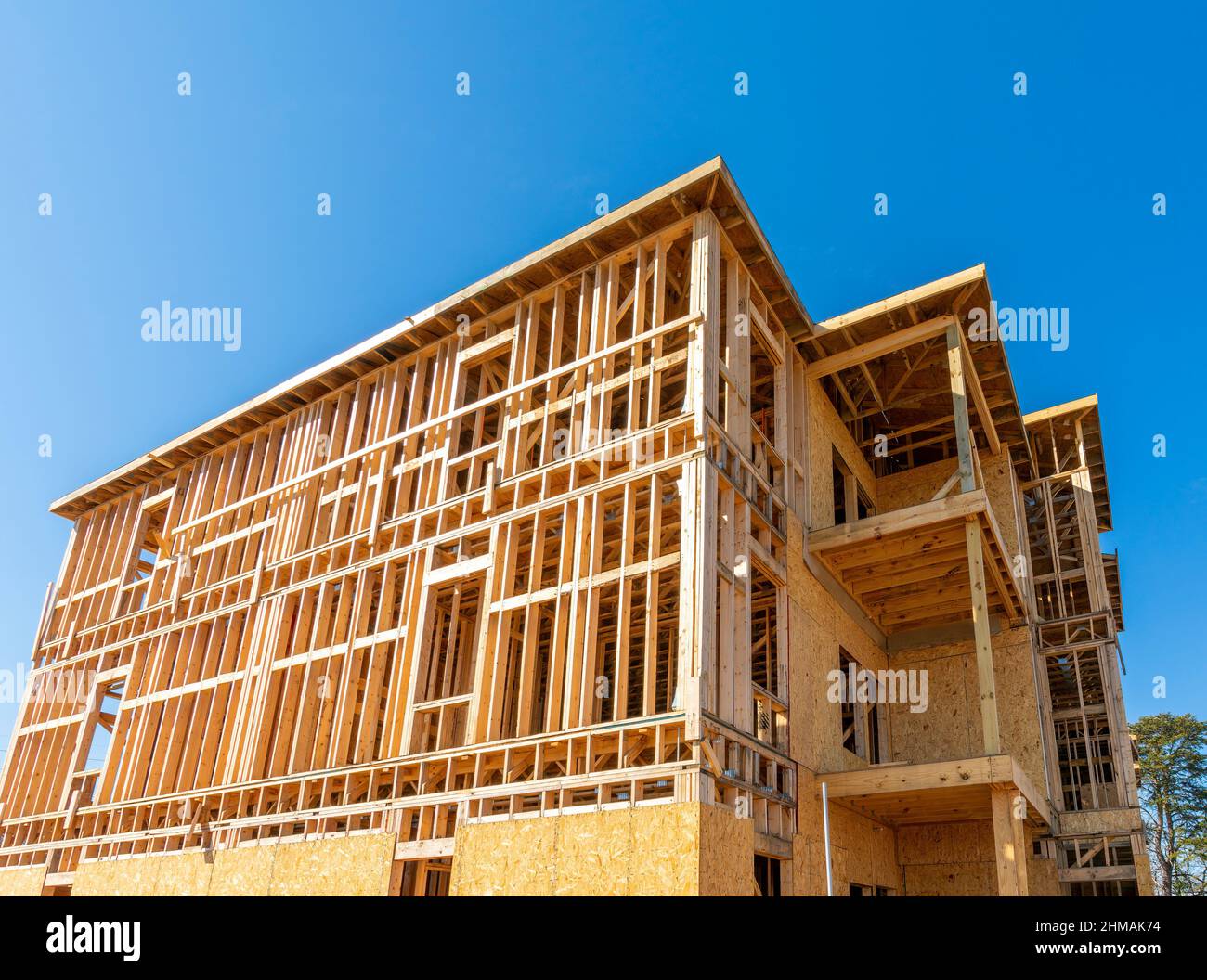 Scatto orizzontale guardando verso l'alto la struttura in legno di un nuovo edificio di appartamenti in prima costruzione. Foto Stock