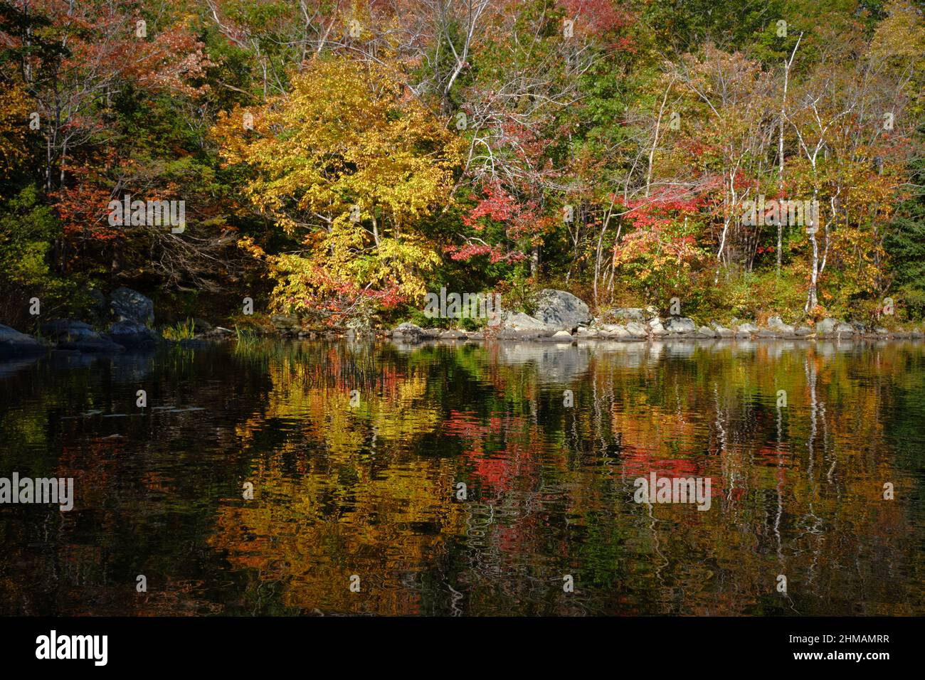 Scena autunnale di un lago d'acqua piatto circondato da alberi colorati con riflessi Foto Stock