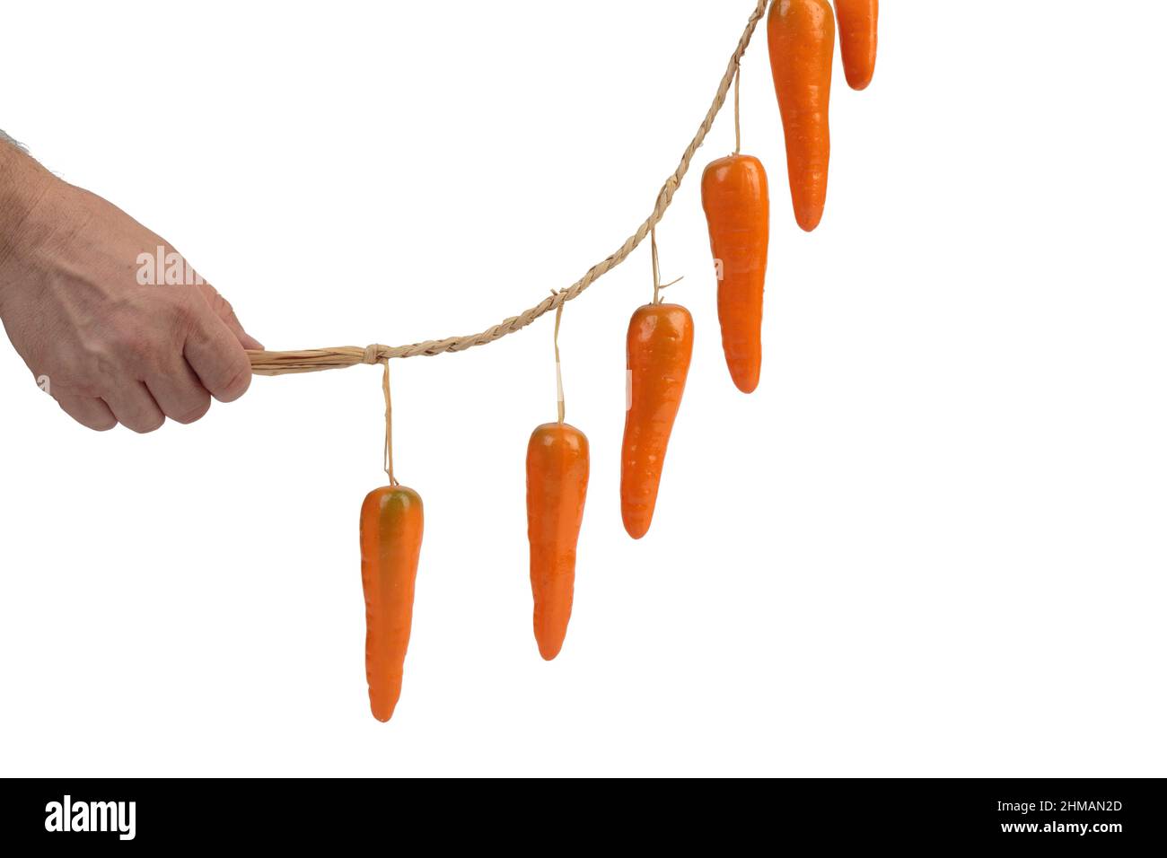 La carota artificiale è sospesa su una corda di iuta. Isolato su sfondo bianco. Primo piano. Foto Stock