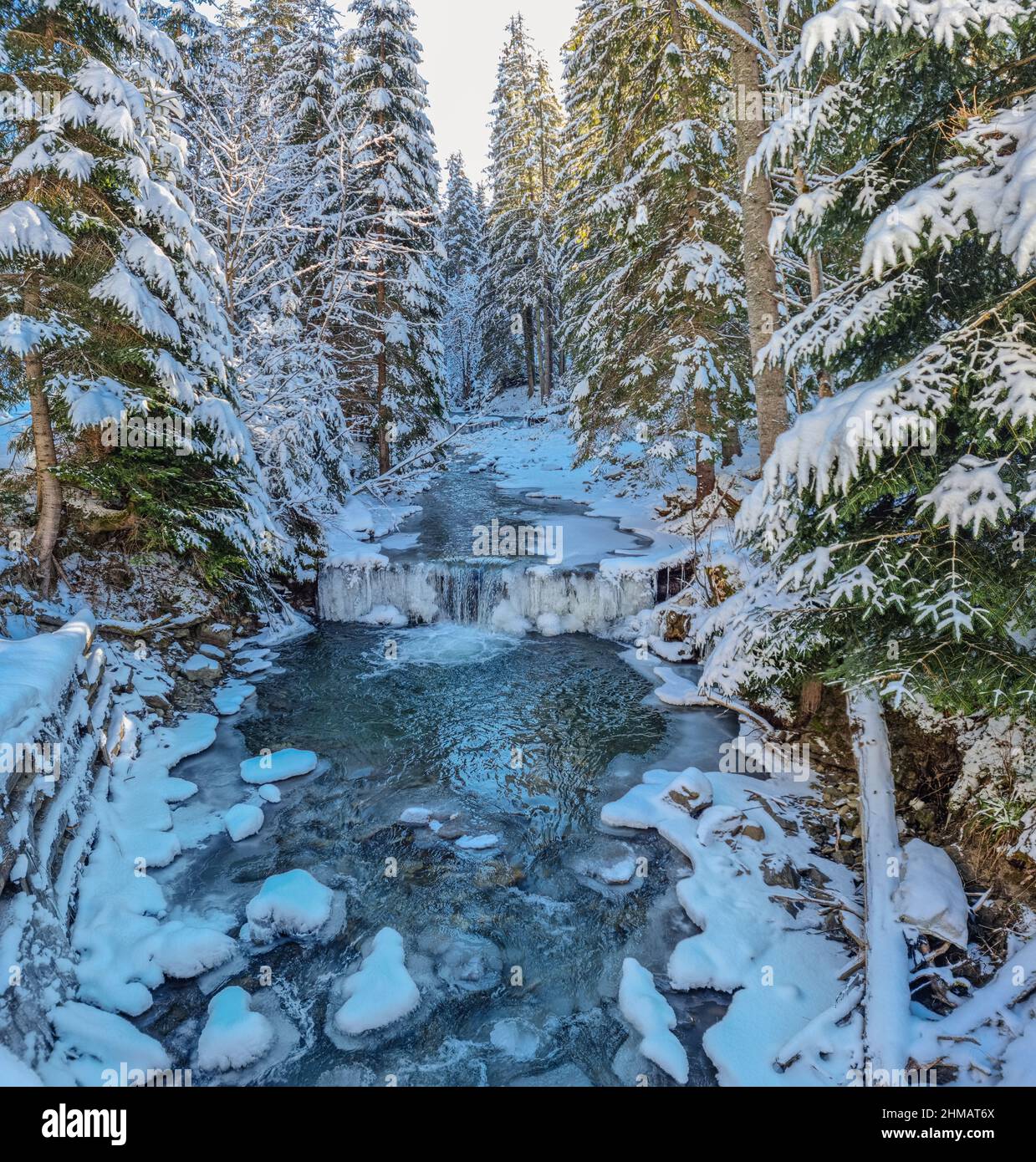 Abeti coperti di neve e ruscello con bordo ghiacciato. Bellissimo sfondo invernale. Foto Stock