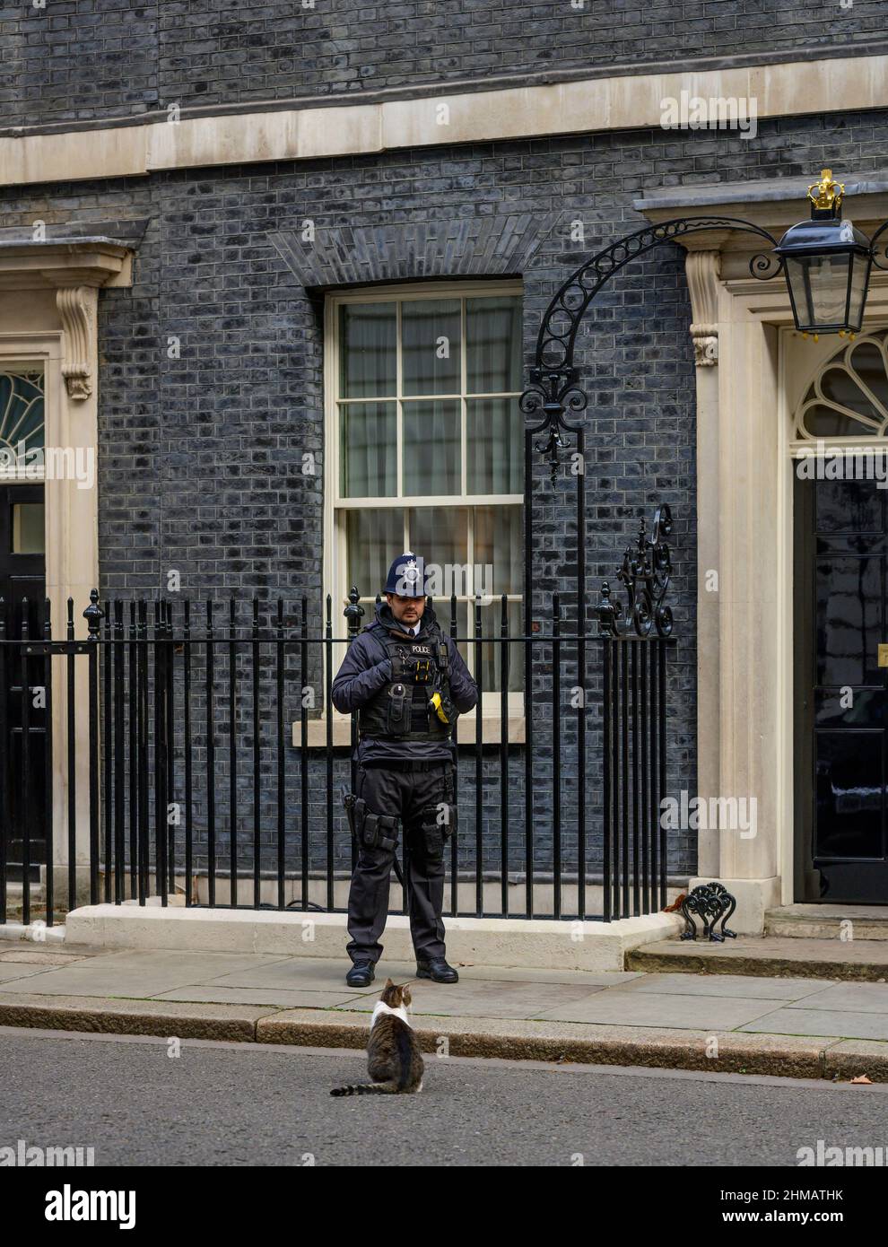 Porta di fronte al 10 Downing Street, 8th febbraio 2022, con Larry il gatto sotto controllo da ufficiale di polizia in servizio. Credit: Malcolm Park/Alamy Foto Stock