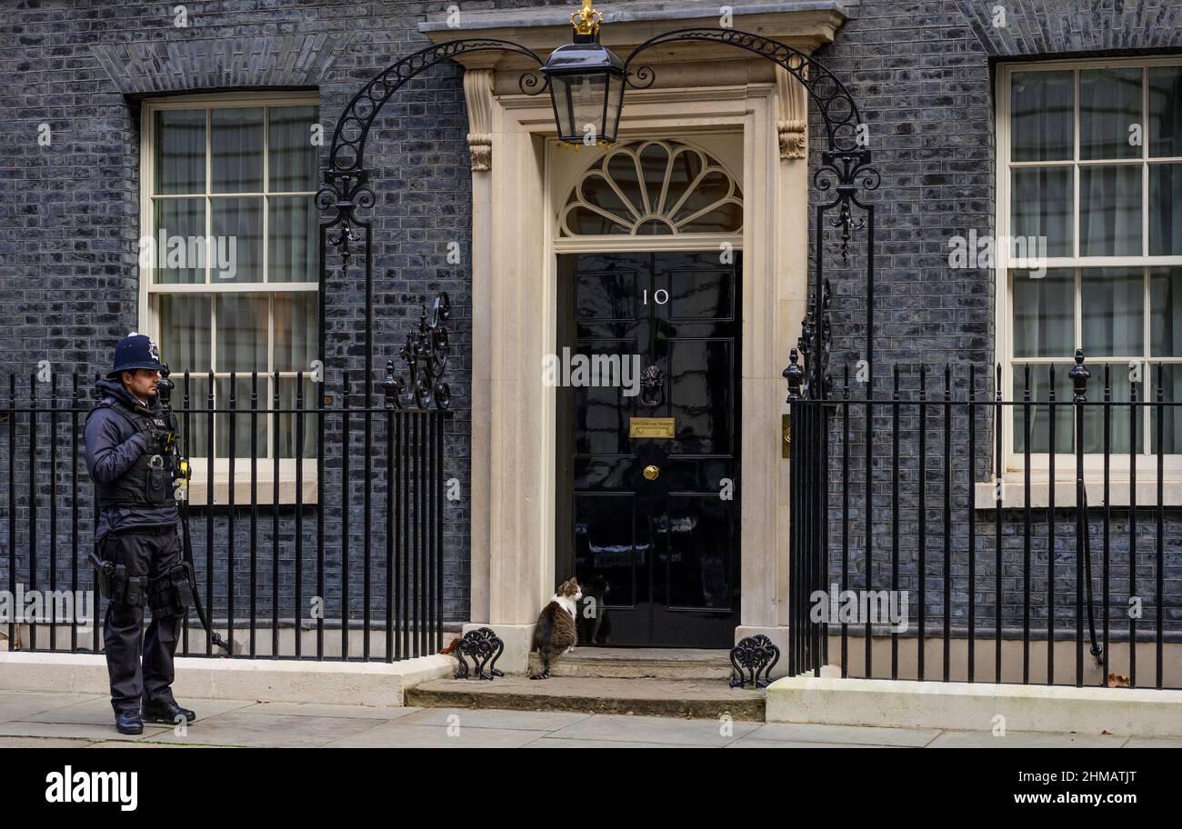 Porta d'ingresso del 10 Downing Street, 8th febbraio 2022, con ufficiale di polizia in servizio e Larry il gatto seduto a due passi in attesa di entrare. Credit: Malcolm Park/Alamy Foto Stock
