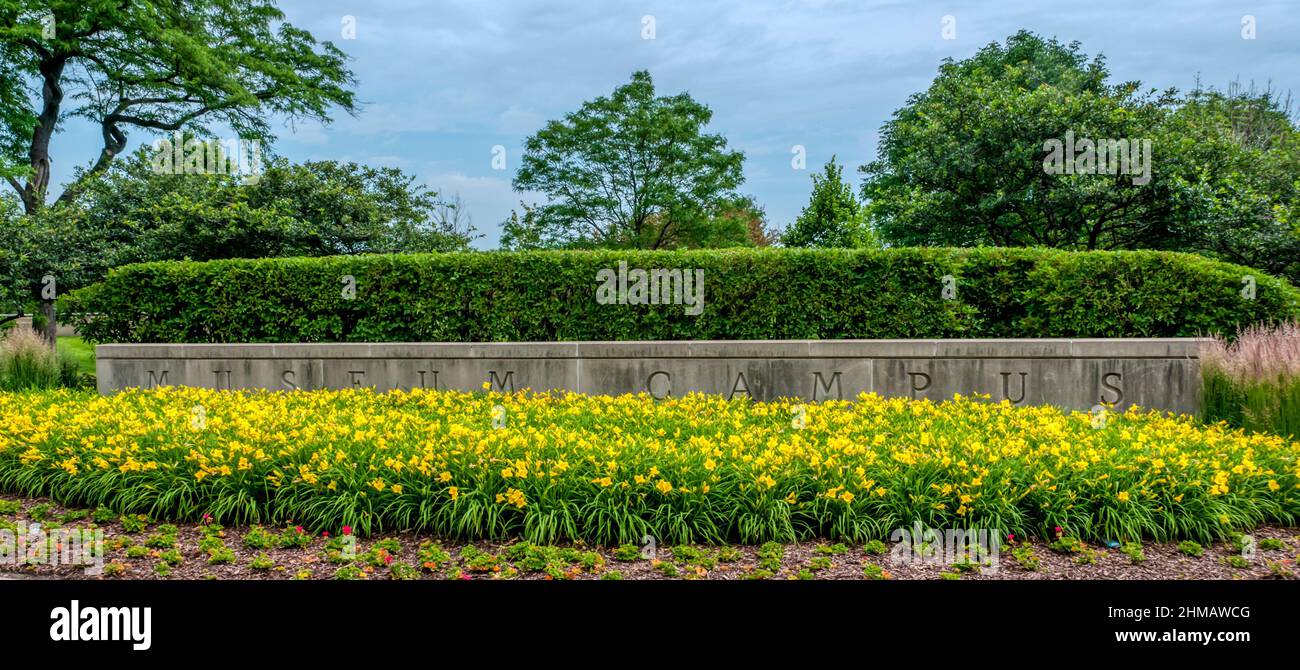 Cartello del campus del museo della pietra intagliata dietro un letto di narcisi a Grant Park, Chicago. Foto Stock