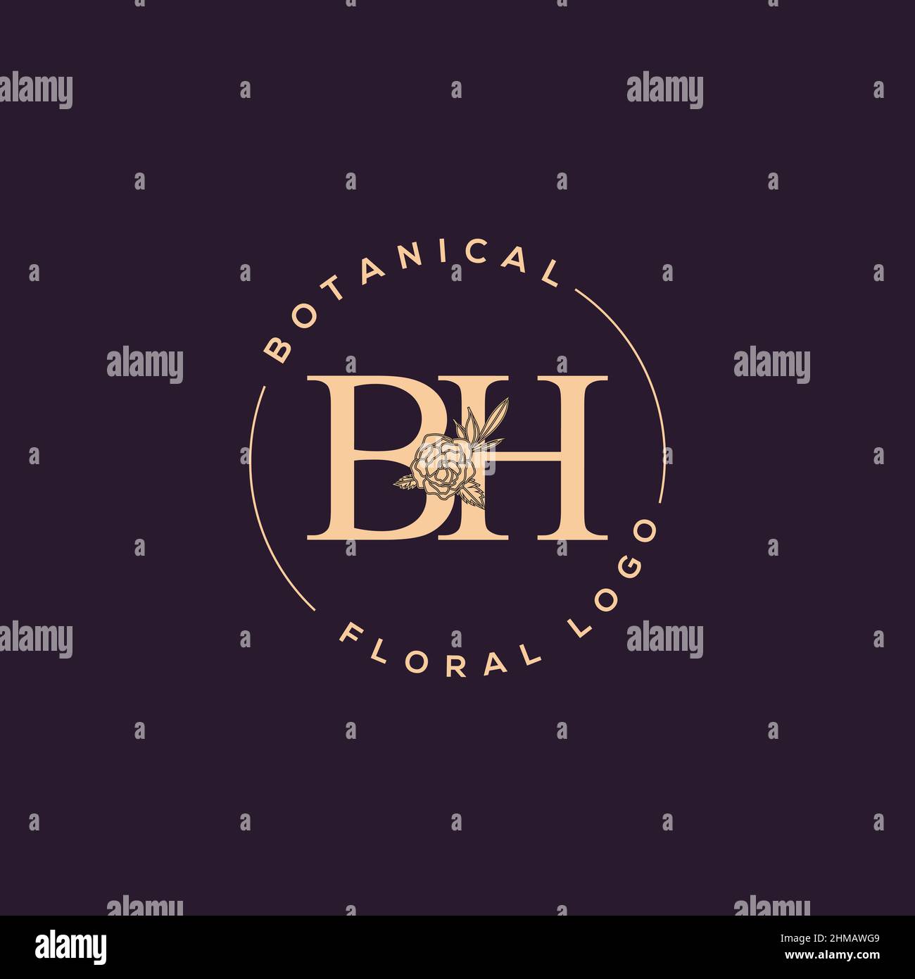 Iniziale BH lettera di lusso bellezza fiorisce ornamento logo monogramma Illustrazione Vettoriale