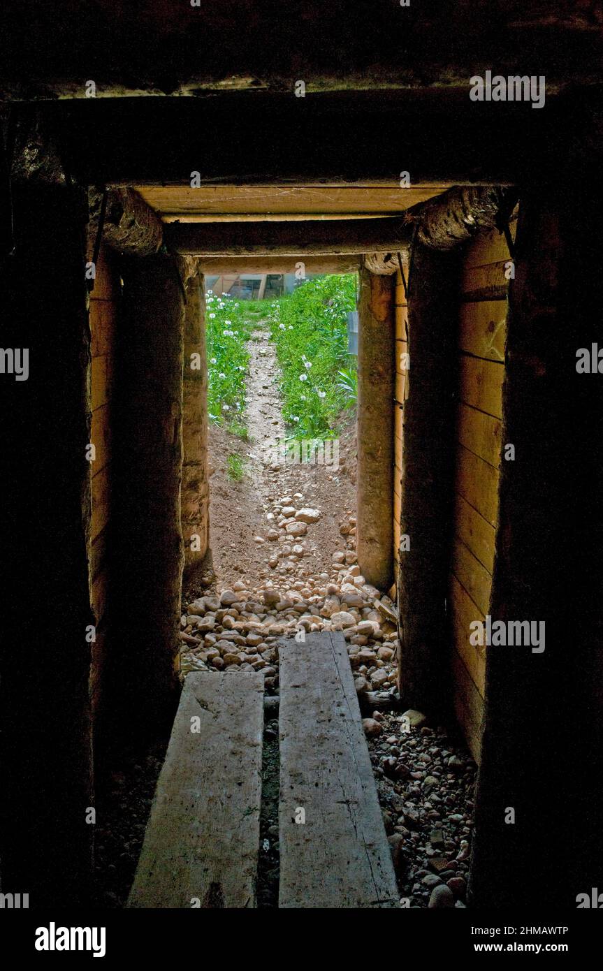 Il tunnel di Sarajevo, noto anche come Tunel spasa, costruito dall'esercito bosniaco nel 1993 durante l'assedio di Sarajevo nel bel mezzo della guerra bosniaca per collegare la città di Sarajevo, Che è stato interamente tagliato da forze serbe, con territorio bosniaco dall'altra parte dell'aeroporto di Sarajevo, un'area controllata dalle Nazioni Unite. Foto Stock