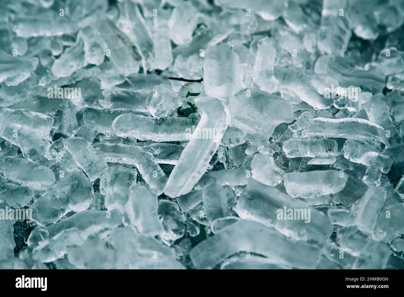 Ghiaccio caduto dagli alberi dopo gelare tempesta di ghiaccio di inverno. Alberi ricoperti di ghiaccio dopo la pioggia gelida. Condizioni meteorologiche anomale Foto Stock