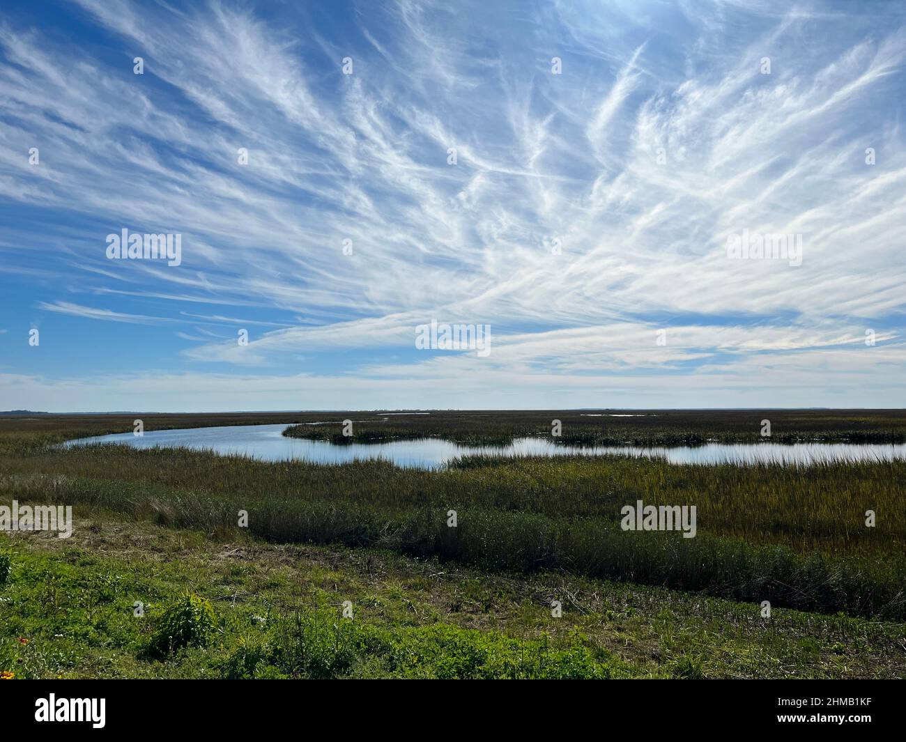 Una vista della palude salata lungo il Jekyll Island Causeway vicino a Brunswick, Georgia. Foto Stock
