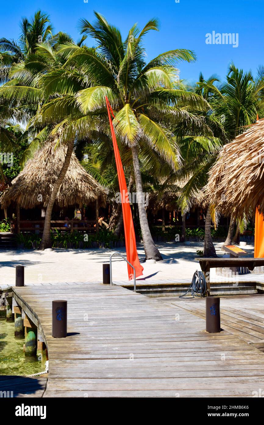 Un resort sulla spiaggia a tema Polinesiano a San Pedro, Belize, con tetti di paglia e circondato da palme. Foto Stock