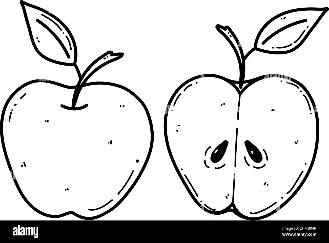 Illustrazione del doodle della mela vettoriale. Illustrazione della frutta per il menu del mercato agricolo. Progettazione di alimenti sani Illustrazione Vettoriale