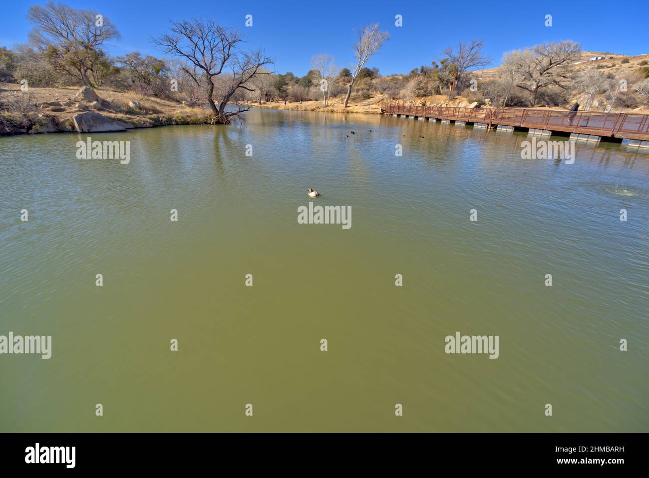Vista sul lago Fain dal molo di pesca rivolto a ovest. Situato a Prescott Valley, Arizona. Foto Stock
