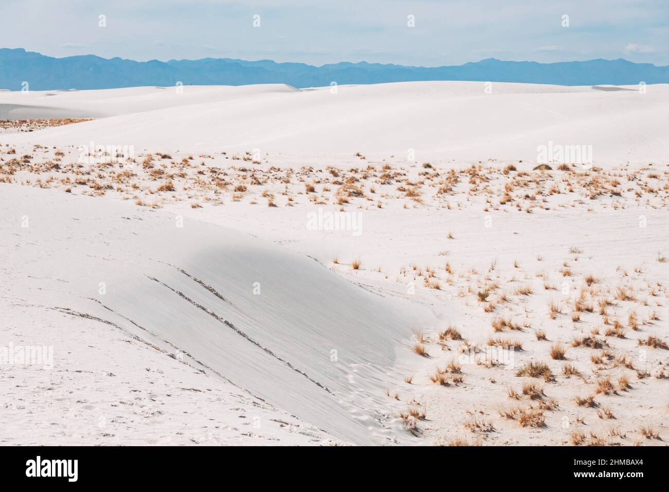 Le ampie dune di gesso luminose al White Sands National Park, New Mexico, Stati Uniti Foto Stock