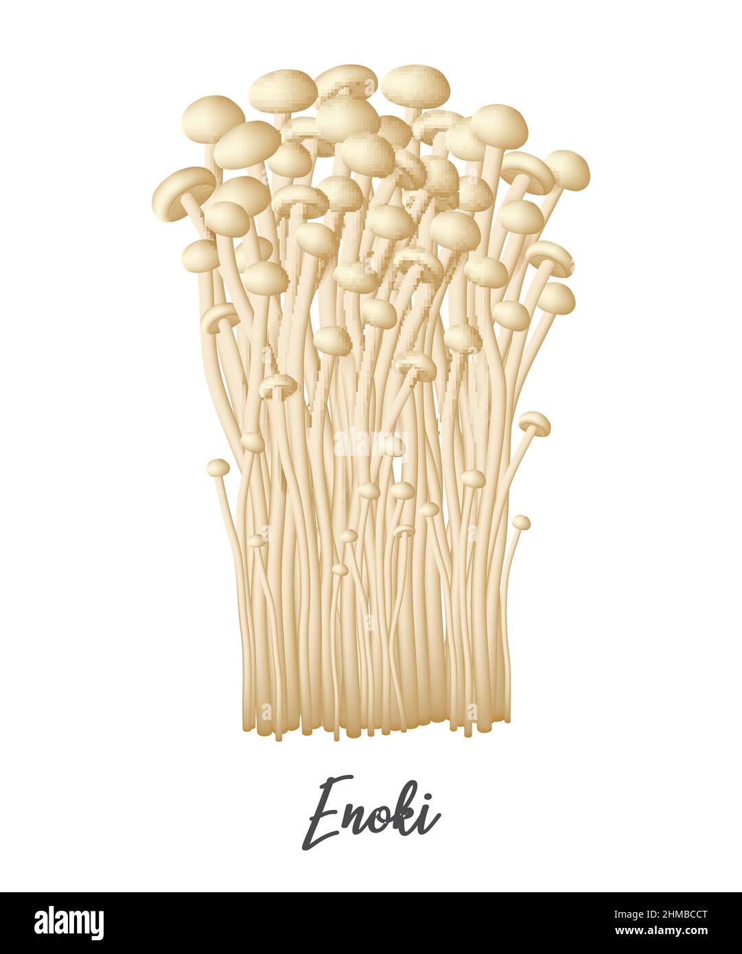 Enoki funghi su sfondo bianco, ingredienti alimentari naturali, illustrazione vettoriale realistica primo piano Illustrazione Vettoriale