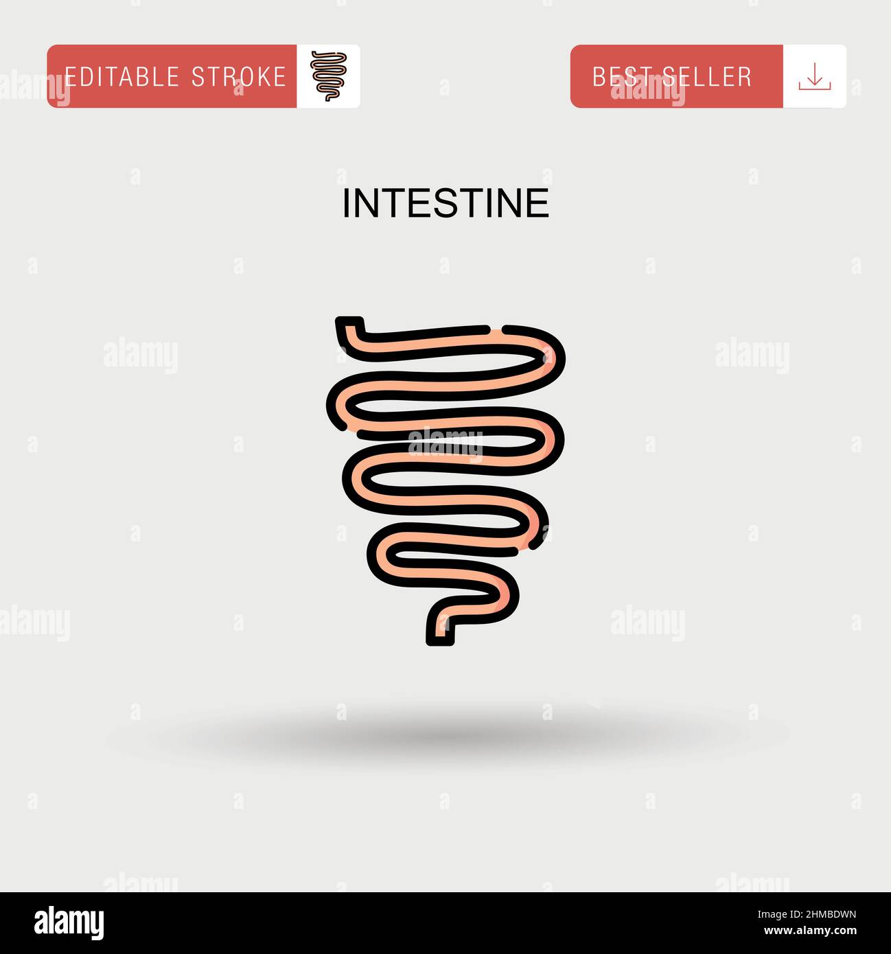 Icona vettore semplice dell'intestino. Illustrazione Vettoriale