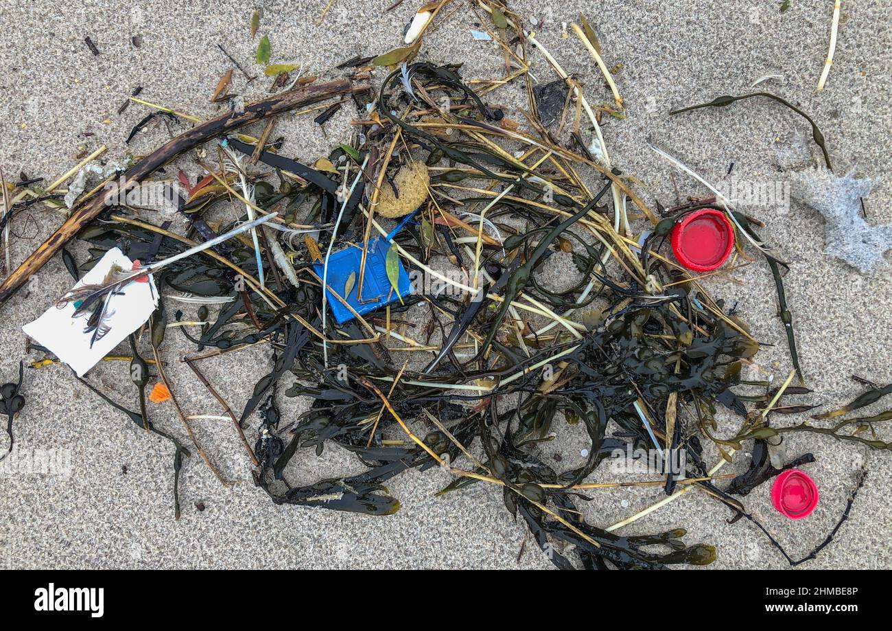 Agger, Danimarca. 03rd Feb 2022. Pezzi di plastica lavati dal mare si trovano sulla spiaggia del Mare del Nord, sulla costa occidentale della Danimarca. Credit: Patrick Pleul/dpa-Zentralbild/ZB/dpa/Alamy Live News Foto Stock