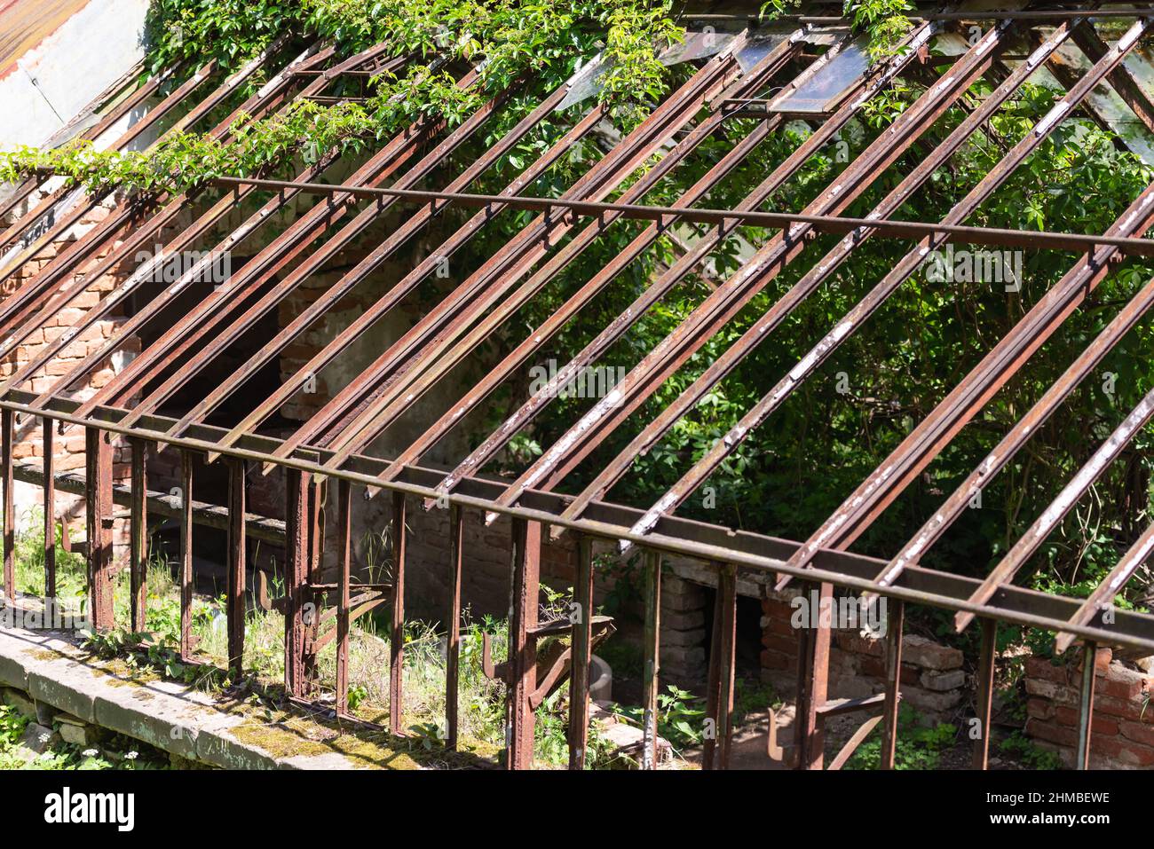 Rovine di un'antica serra. Lo scheletro di una vecchia serra riscaldata per coltivare le verdure. Foto Stock