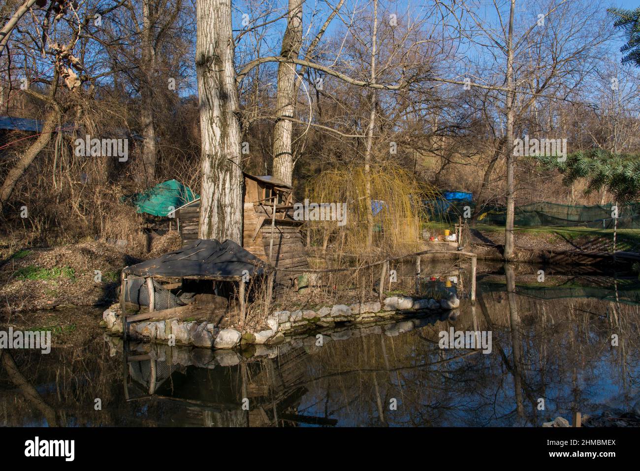 Pietre decorative in un mini stagno con piante e giglio pad in una giornata  estiva di sole Foto stock - Alamy