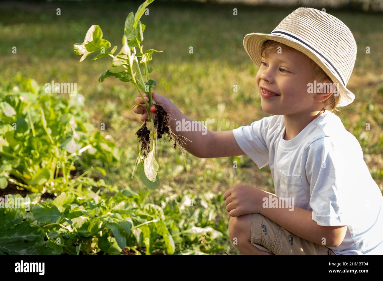 Giardinaggio giovane ragazzo a casa. Foto di alta qualità Foto Stock