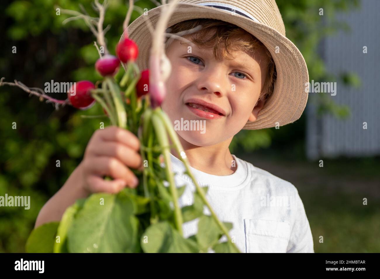 Giovane ragazzo giardinaggio a casa mostrando il suo raccolto di ravanello. Foto di alta qualità Foto Stock