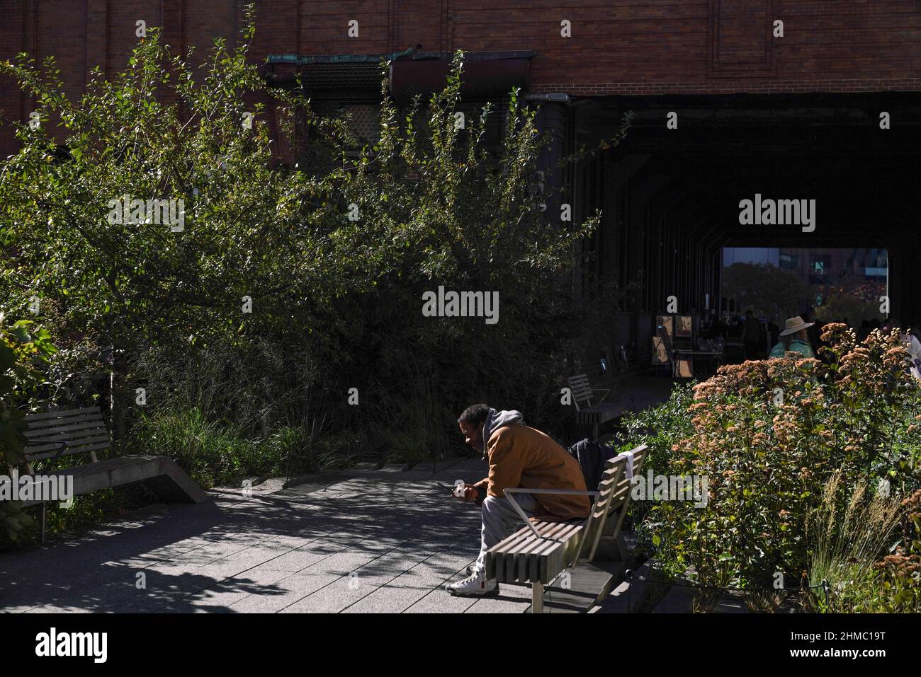 Momento di solitudine sulla High Line, l'amato parco urbano di New York sulla linea ferroviaria sopraelevata disutilizzata. Foto Stock