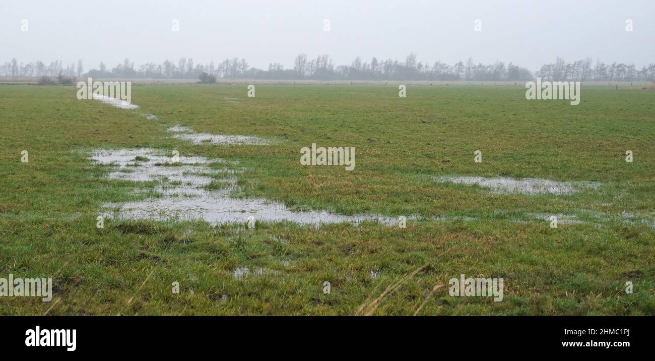 Berghusen, Germania. 03rd Feb 2022. Un prato allagato. La pioggia continua ha trasformato numerosi campi e prati in piccoli paesaggi lacustri. Credit: Marcus Brandt/dpa/Alamy Live News Foto Stock