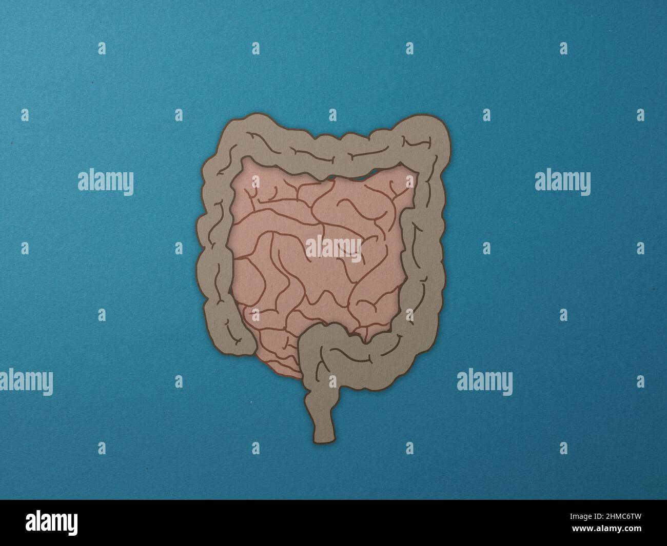 Tratto intestinale come illustrazione di carta su sfondo blu, concetto di assistenza sanitaria Foto Stock