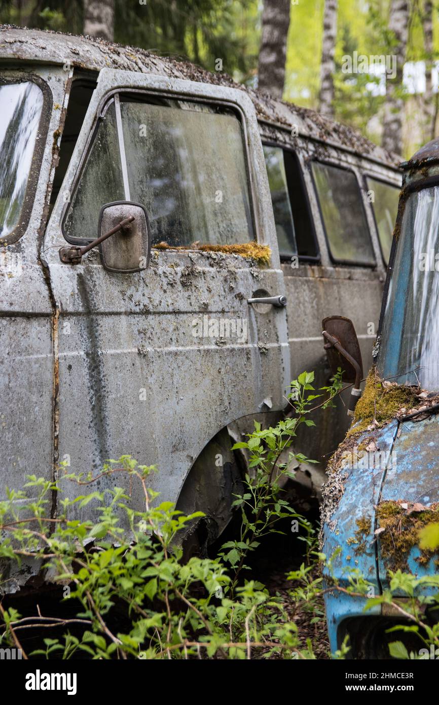 Vecchie auto arrugginite in una foresta Foto Stock