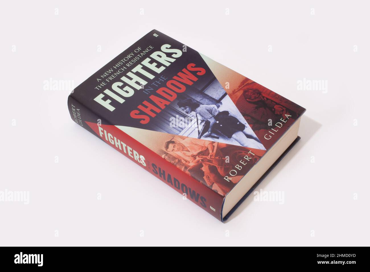 Il libro - A New History of the French Resistance Fighters in the Shadows di Robert Gildea Foto Stock