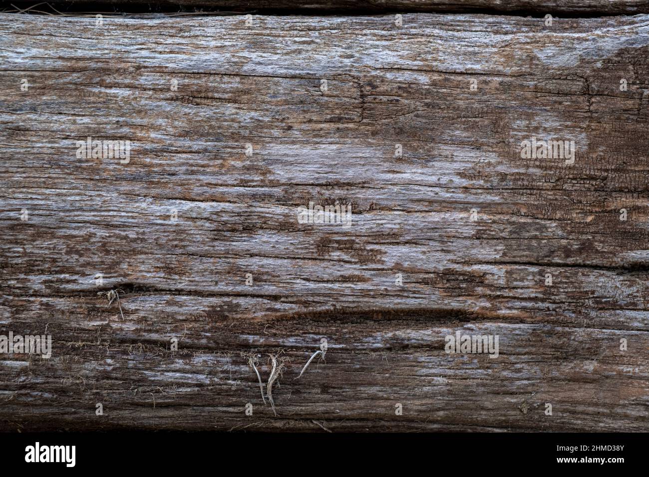 Cartello decorativo da parete in legno con cornice in stile rustico, decorazione per la casa in stile Sicilia, decorazione per la casa, stile moderno