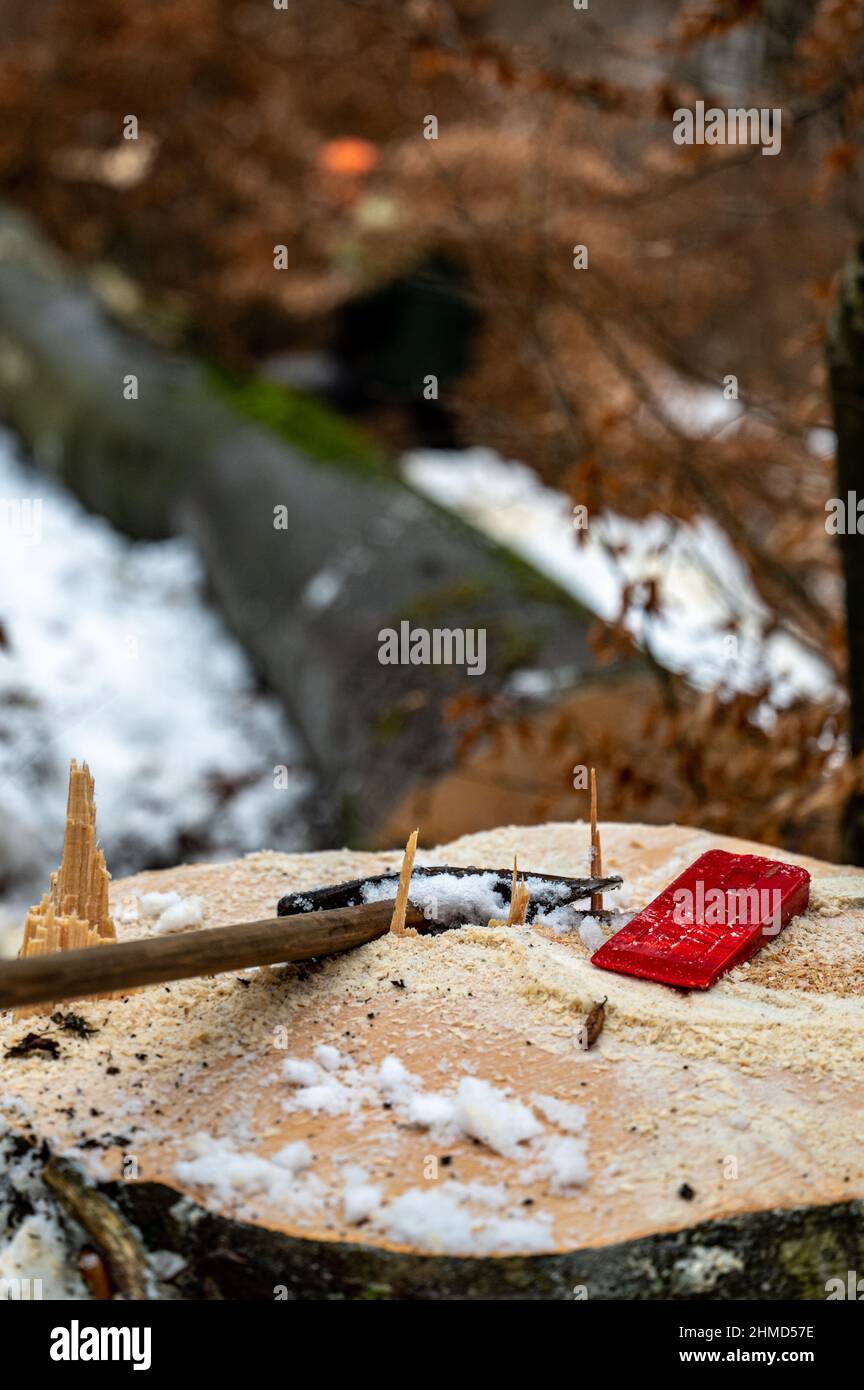 Un'apparecchiatura del lumberjack. Un hummer e un wegde. Foto Stock