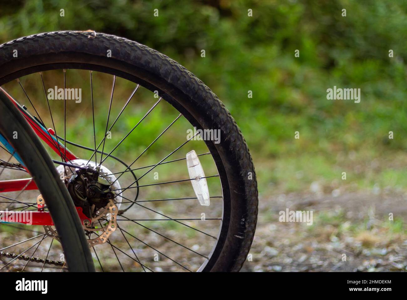 La ruota posteriore della bicicletta riceve la luce del pomeriggio. Sfondo verde fogliame Foto Stock