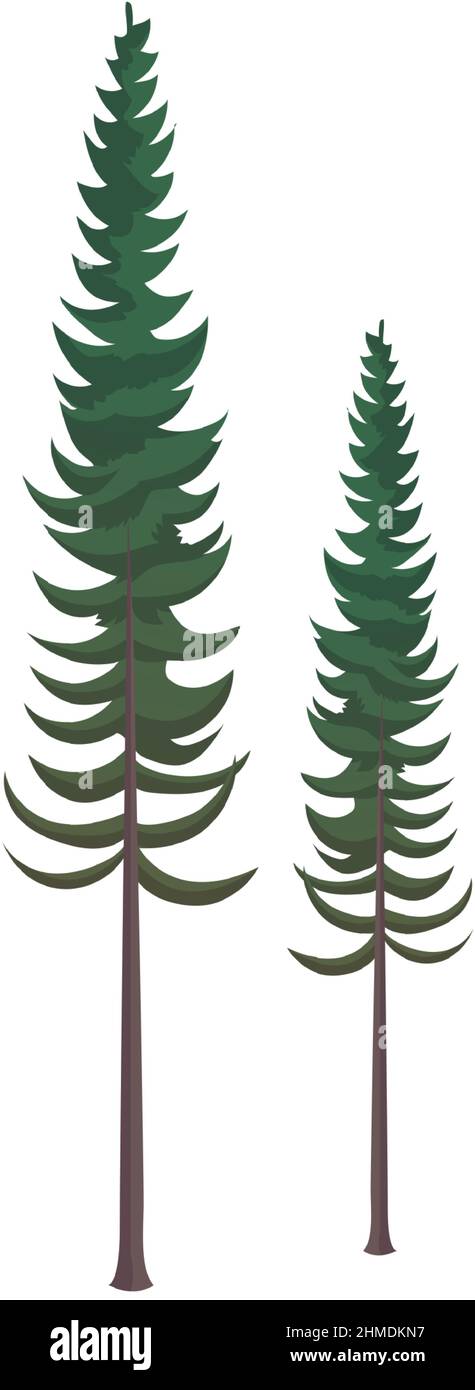 Realistico alberi di abete verde denso su sfondo bianco - illustrazione vettoriale Illustrazione Vettoriale