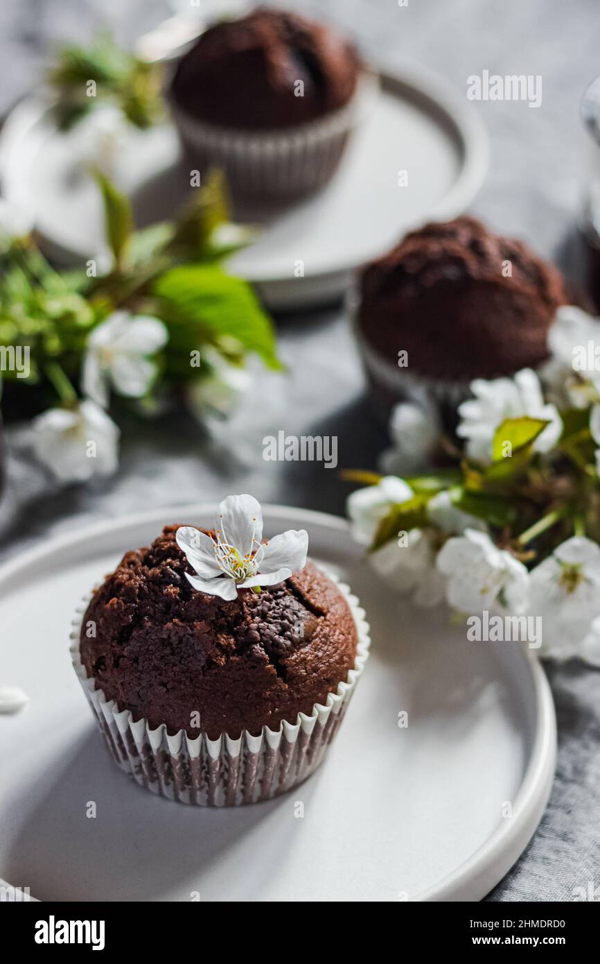 Delizioso giorno di madri easter primavera senza glutine latte cioccolato senza cupcake con fiori primaverili e licht soleggiato. Idee per il brunch primaverile. Domenica tee ti Foto Stock