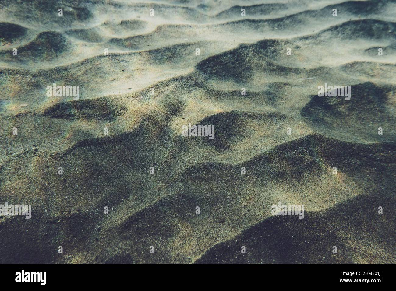 Primo piano di sabbia ondulata sul fondo del fondo dell'oceano Foto Stock