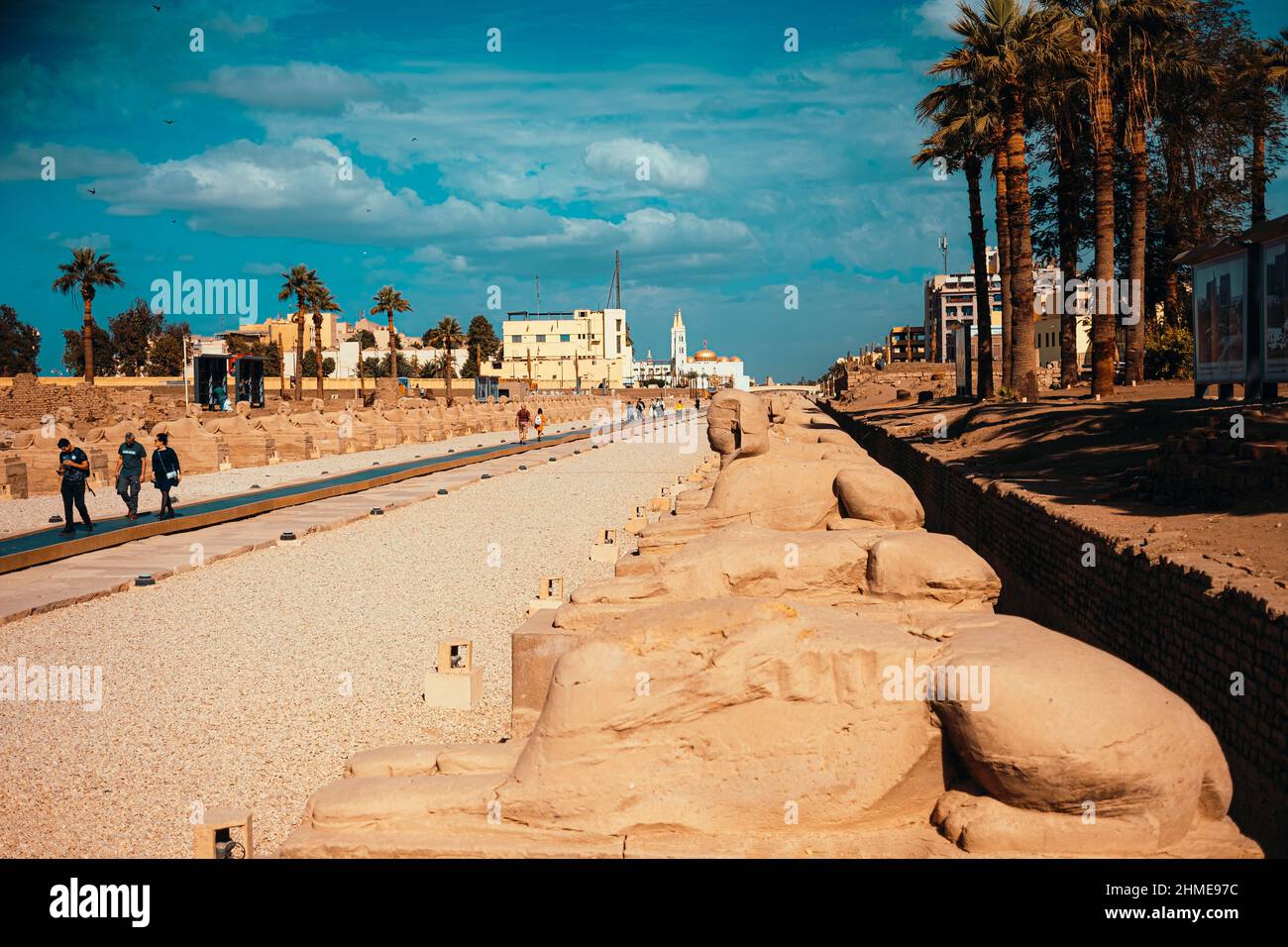 Luxor Egitto Gennaio 2022 Vista del vicolo delle sfingi, anche conosciuto come vicolo della sfinge. Percorso lungo diversi chilometri che collega il tempio di Karnak con Luxor te Foto Stock