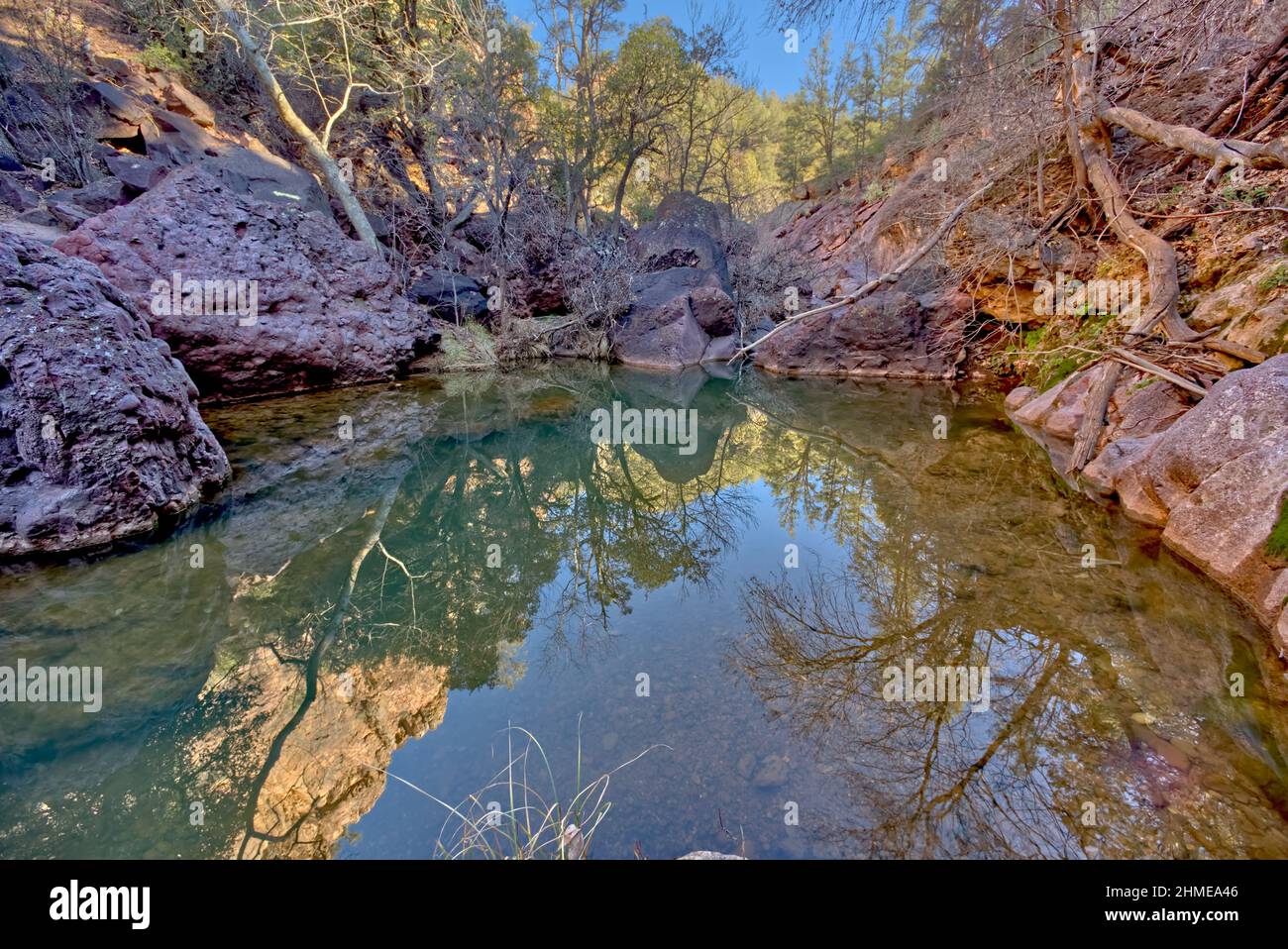 Una piscina d'acqua riflettente lungo il Pine Creek Trail a Tonto Natural Bridge state Park, Arizona. Foto Stock
