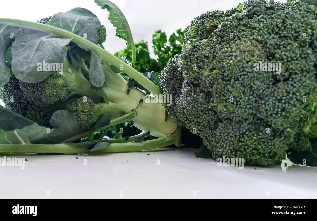 Due teste di broccoli (Brassica oleracea var. Italica) su una superficie bianca con sfondo bianco e prezzemolo fuori fuoco dietro i broccoli. Foto Stock