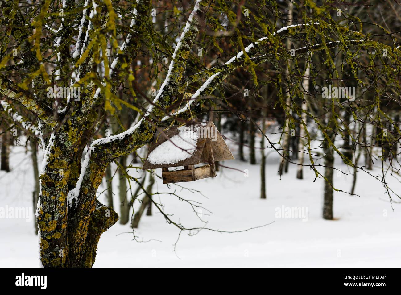 Alimentatore di uccello di legno su un albero. Paesaggio russo invernale. Abbandonato villaggio russo coperto di neve. Il concetto di prendersi cura della natura e degli uccelli. Foto Stock