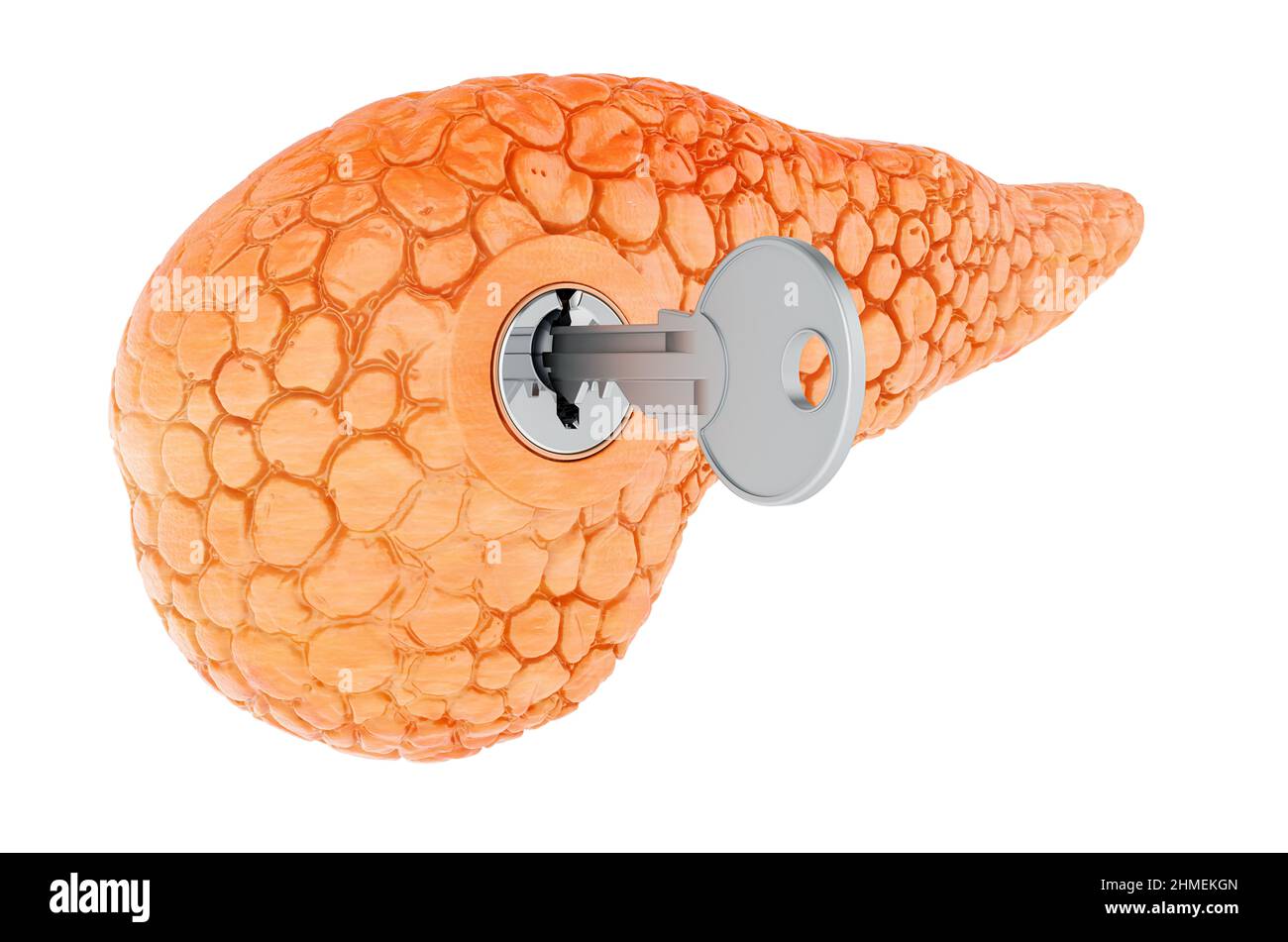 Pancreas umano con chiave. Concetto di ricerca e diagnosi. 3D rendering isolato su sfondo bianco Foto Stock