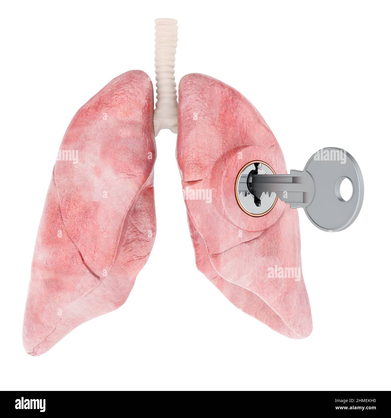 Polmoni umani con chiave. Concetto di ricerca e diagnosi. 3D rendering isolato su sfondo bianco Foto Stock