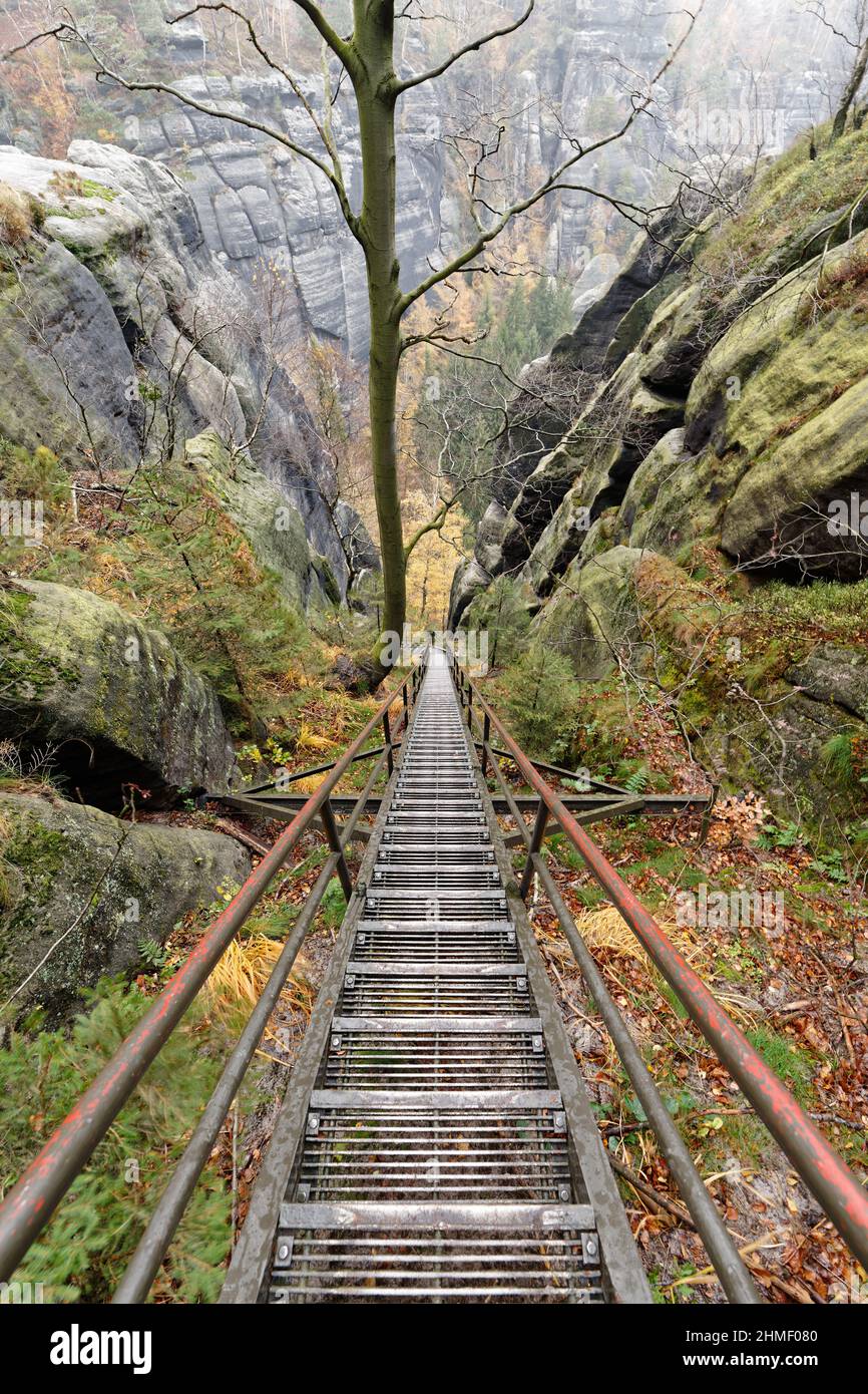 Montagne di arenaria dell'Elba - Vista dalla cima delle scale di metallo della Scala Santa o di Heilige Stiege, la vista conduce nelle profondità, sentiero escursionistico Foto Stock