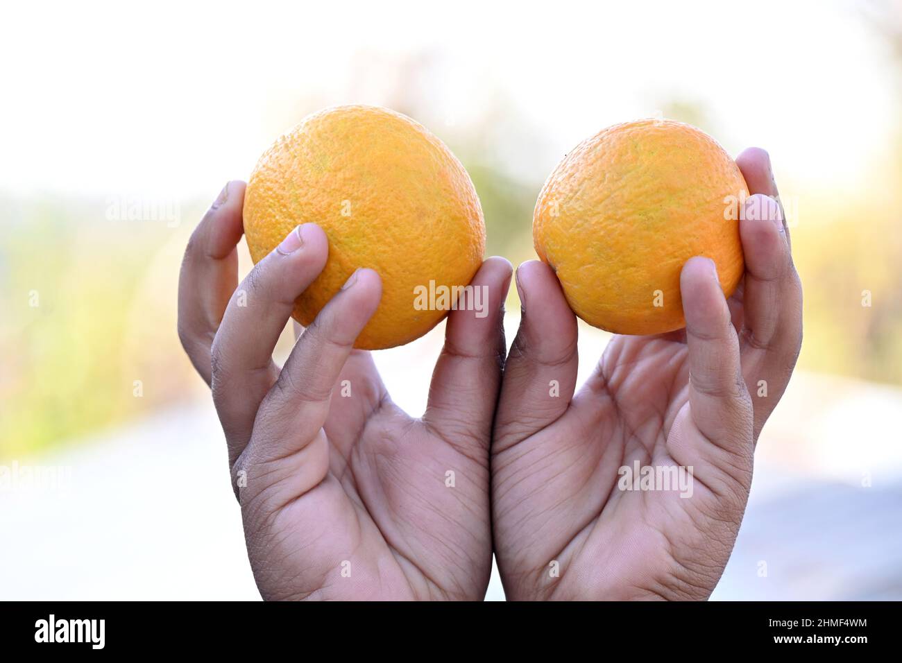 Primo piano di mani che tengono arance Foto Stock