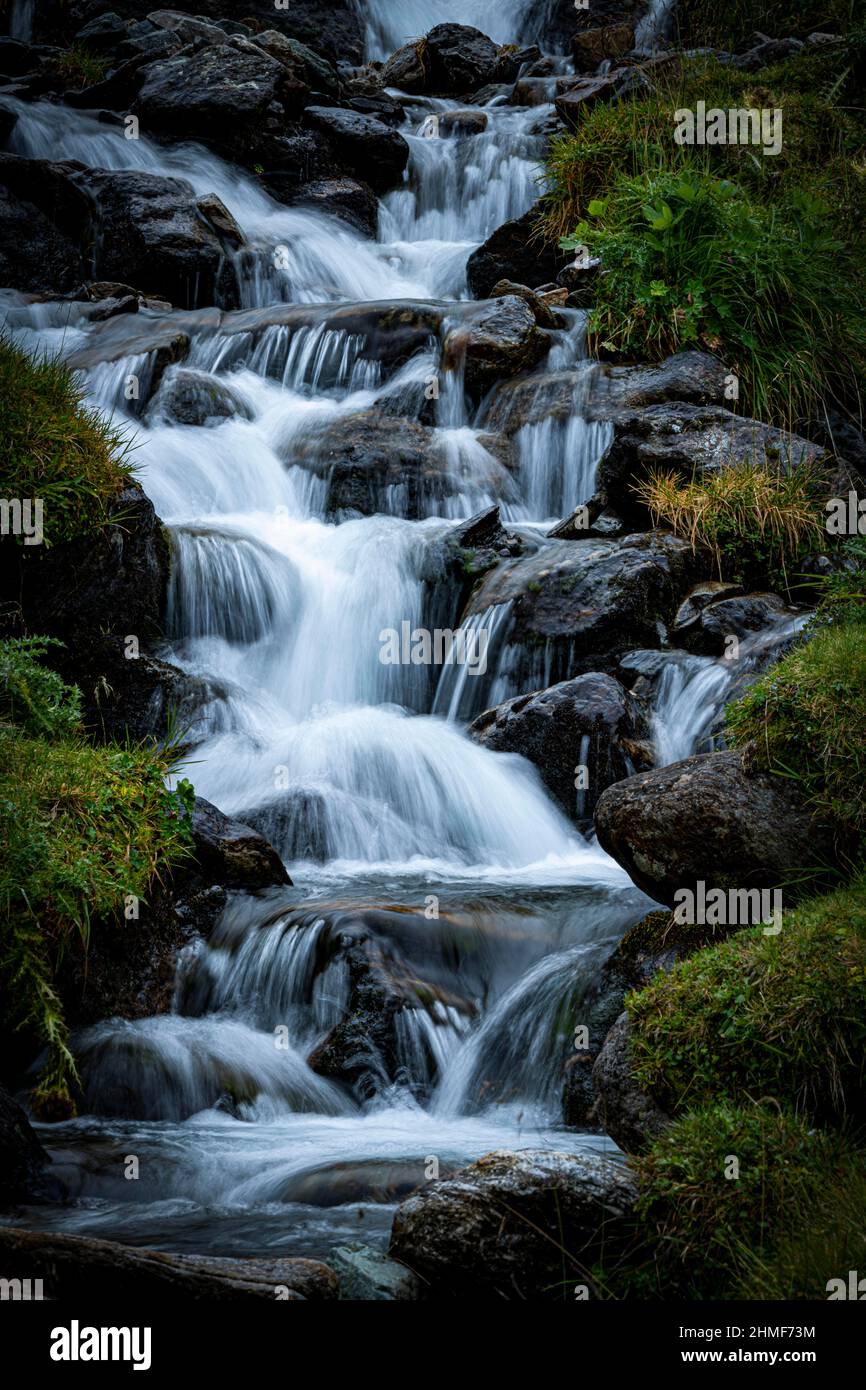 Torrente di montagna con erba verde, Sellrain, Innsbruck, Tirolo, Austria Foto Stock