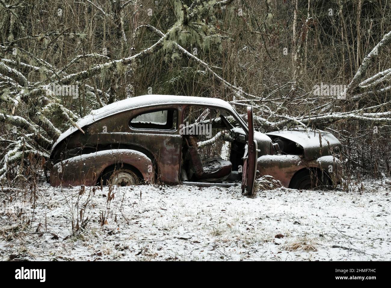 Rottami auto di fronte al paesaggio forestale, Bastnaes auto cimitero, Vaermland, Svezia Foto Stock