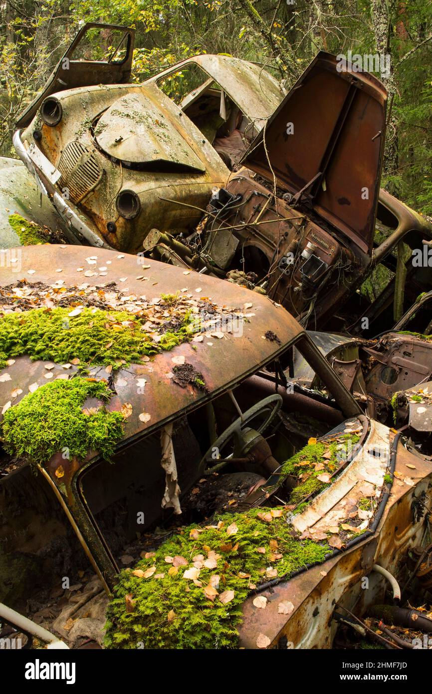 Rottami auto nella foresta, Bastnaes auto cimitero, Vaermland, Svezia Foto Stock