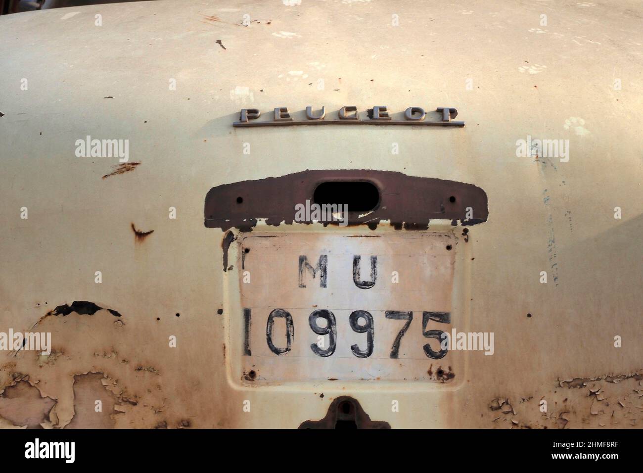 Parte posteriore di Peugeot beige rottamato con targa dipinta, auto storica, vista dettaglio, rottami auto, deposito rottami, riciclaggio dei metalli, riciclaggio dei rottami Foto Stock