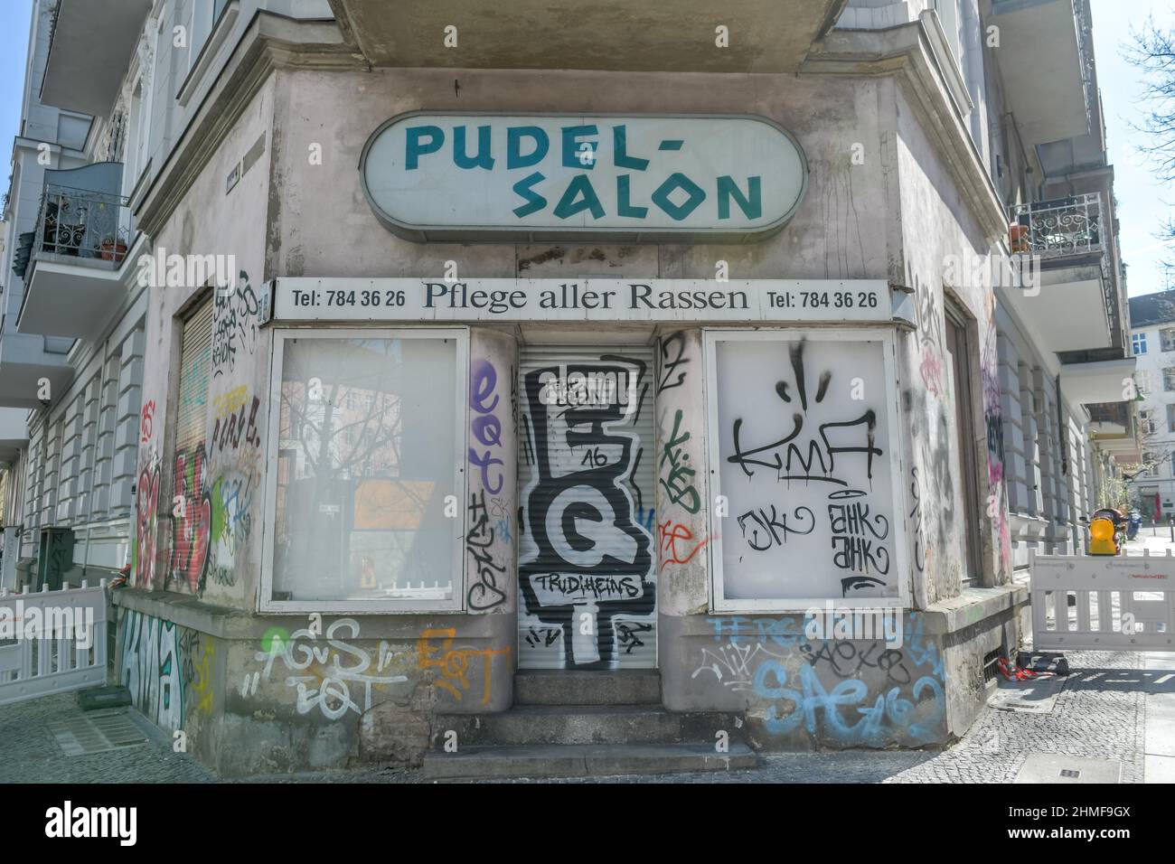 Poodle Salon, Helmstrasse, Schoeneberg, Berlino, Germania Foto Stock